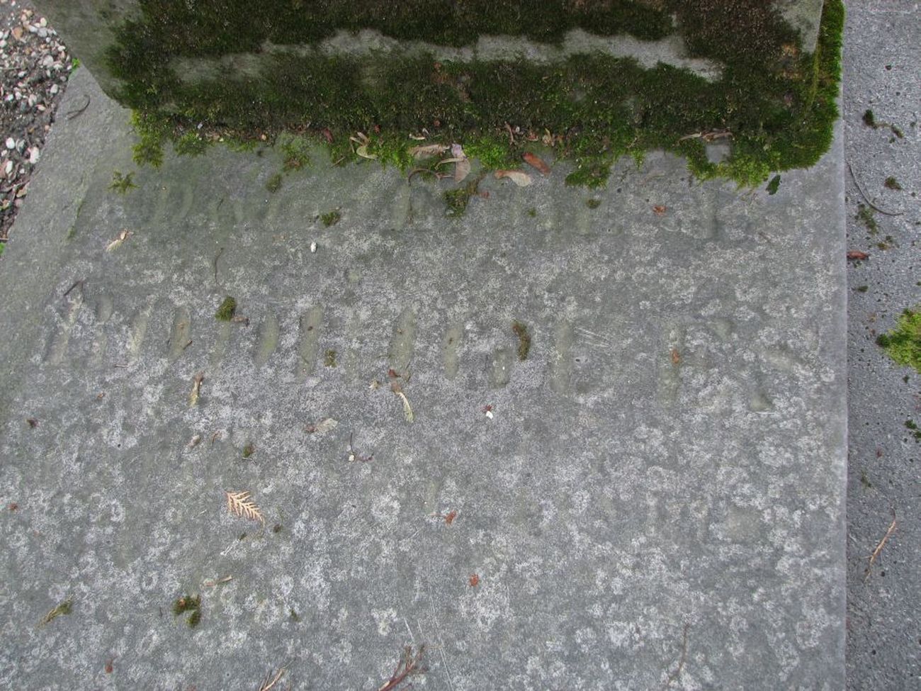 pere-lachaise-rodrigues-olinde-28eme-section-02-max.jpg