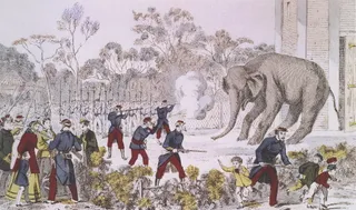 Jardin des Plantes