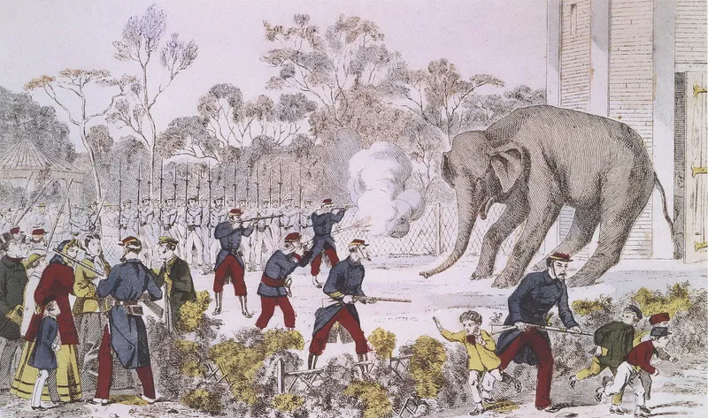Jardin des Plantes