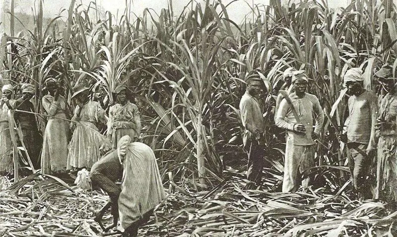 François Arago obtient la création d'une "commission d'abolition de l'esclavage dans les colonies françaises"