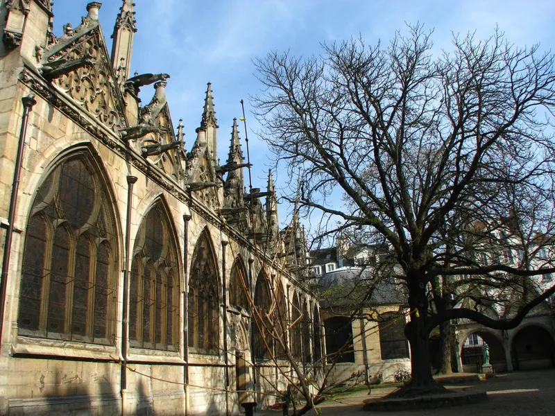 Photographie : un grand arbre dans un jardin clos, entre le flanc gothique de l’église Saint-Séverin et une galerie à arcades
