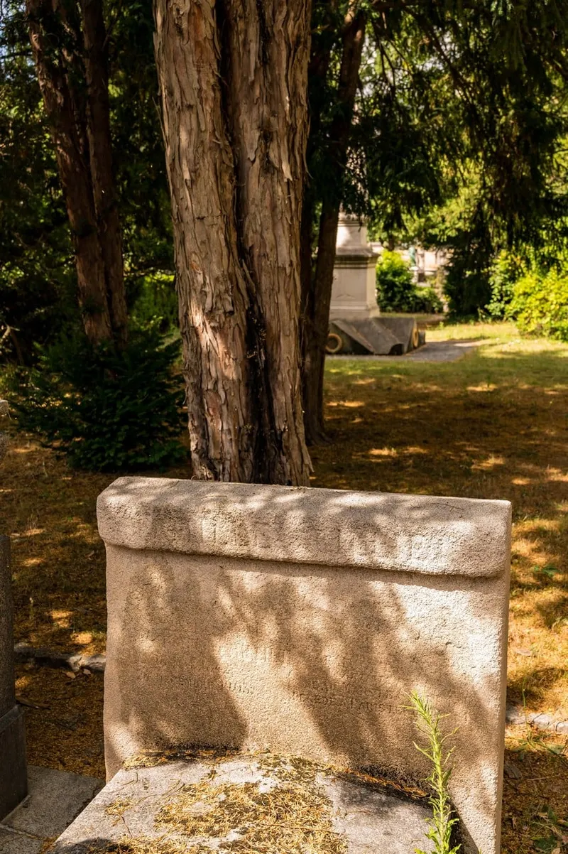 Photographie : la tombe de la famille Milliet sous un arbre, au cimetière du Montparnasse