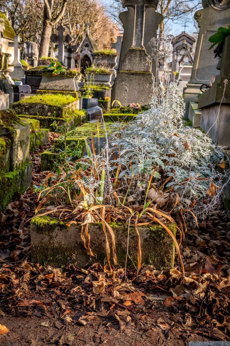 Photographie : la tombe d’Augustin Avrial au cimetière du Père-Lachaise