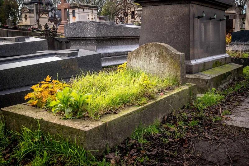 Photographie : la tombe herbue et dépouillée de Charles Longuet