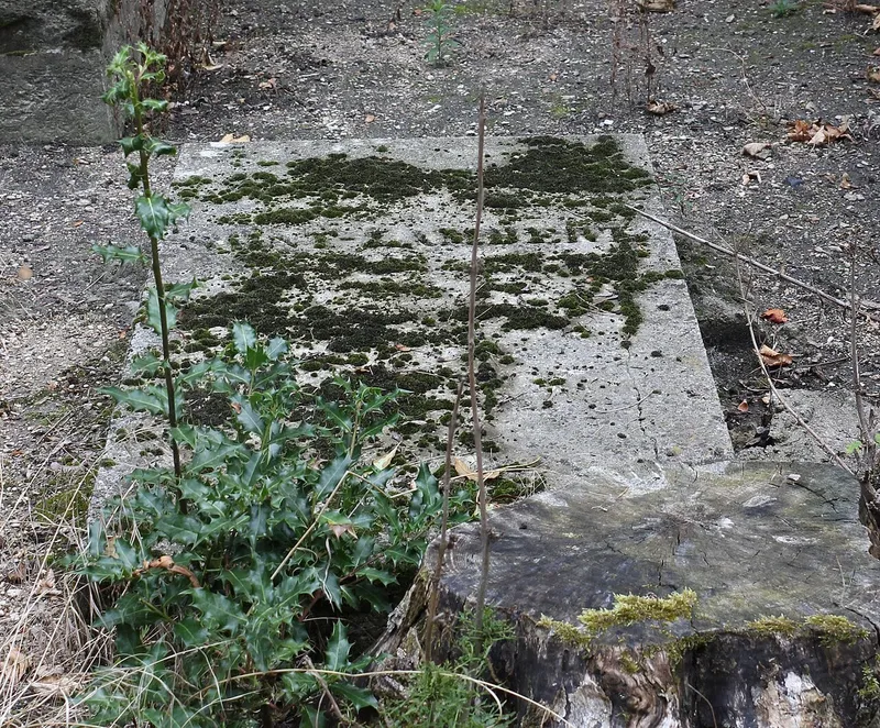 Photographie : la tombe de Jean-François de Saint-Lambert au cimetière du Père-Lachaise