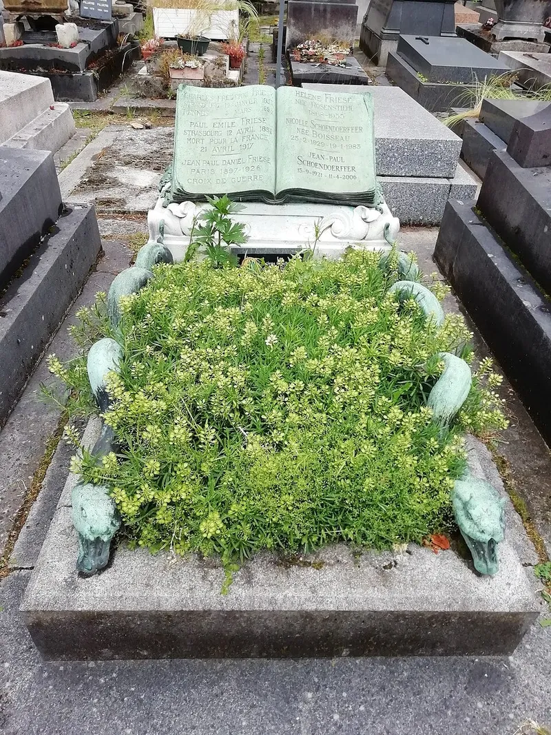 Photographie : la tombe de Pierre Schoendoerffer au cimetière du Montparnasse