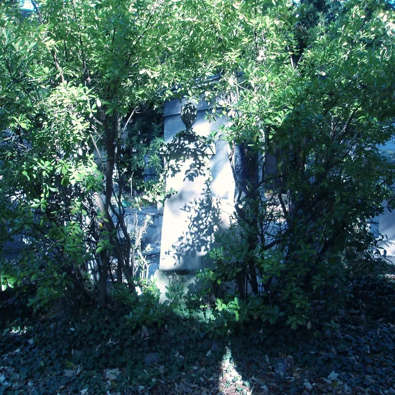 Photographie : la tombe de Xavier Bichat au cimetière du Père-Lachaise