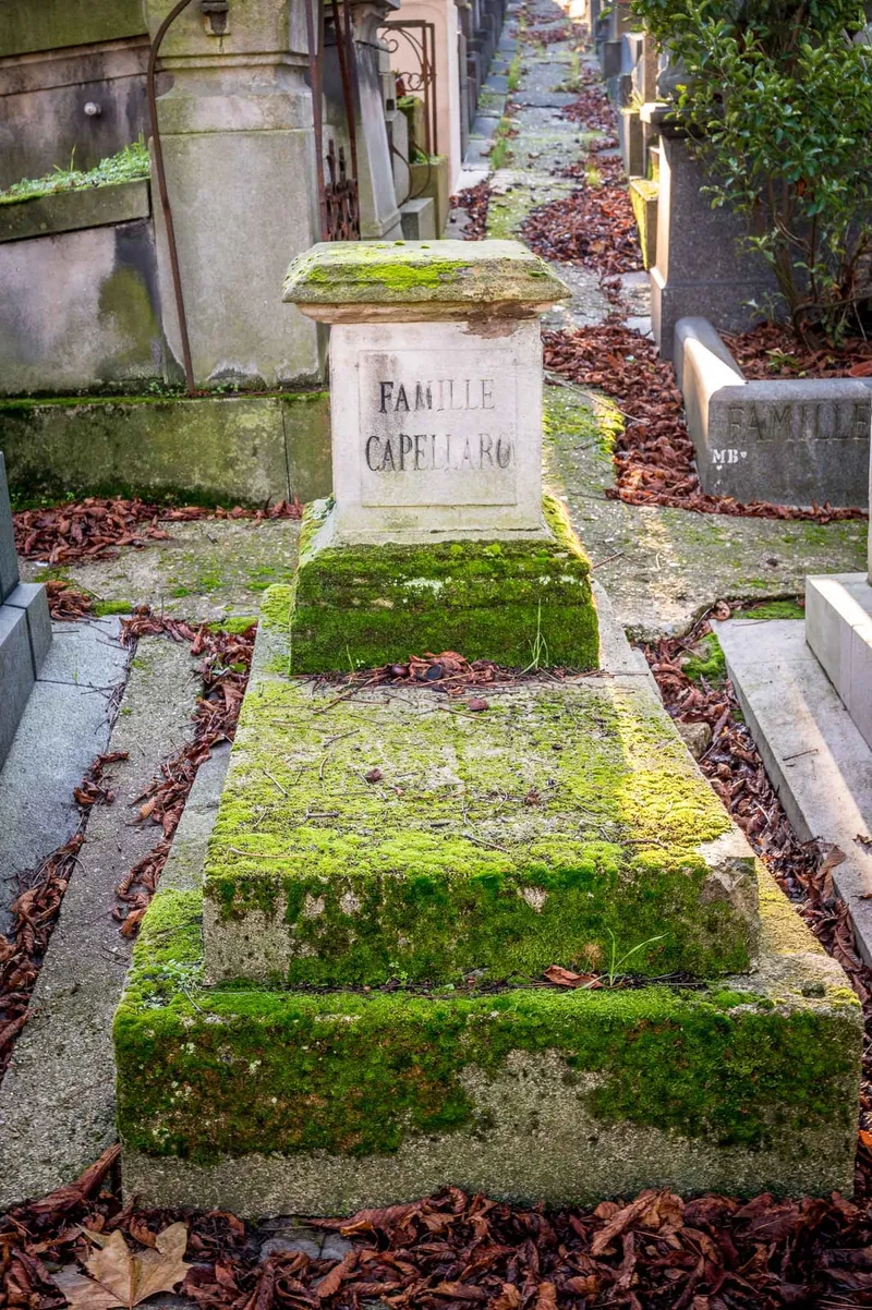 Photographie : la tombe de la famille Capellaro, couverte de mousse