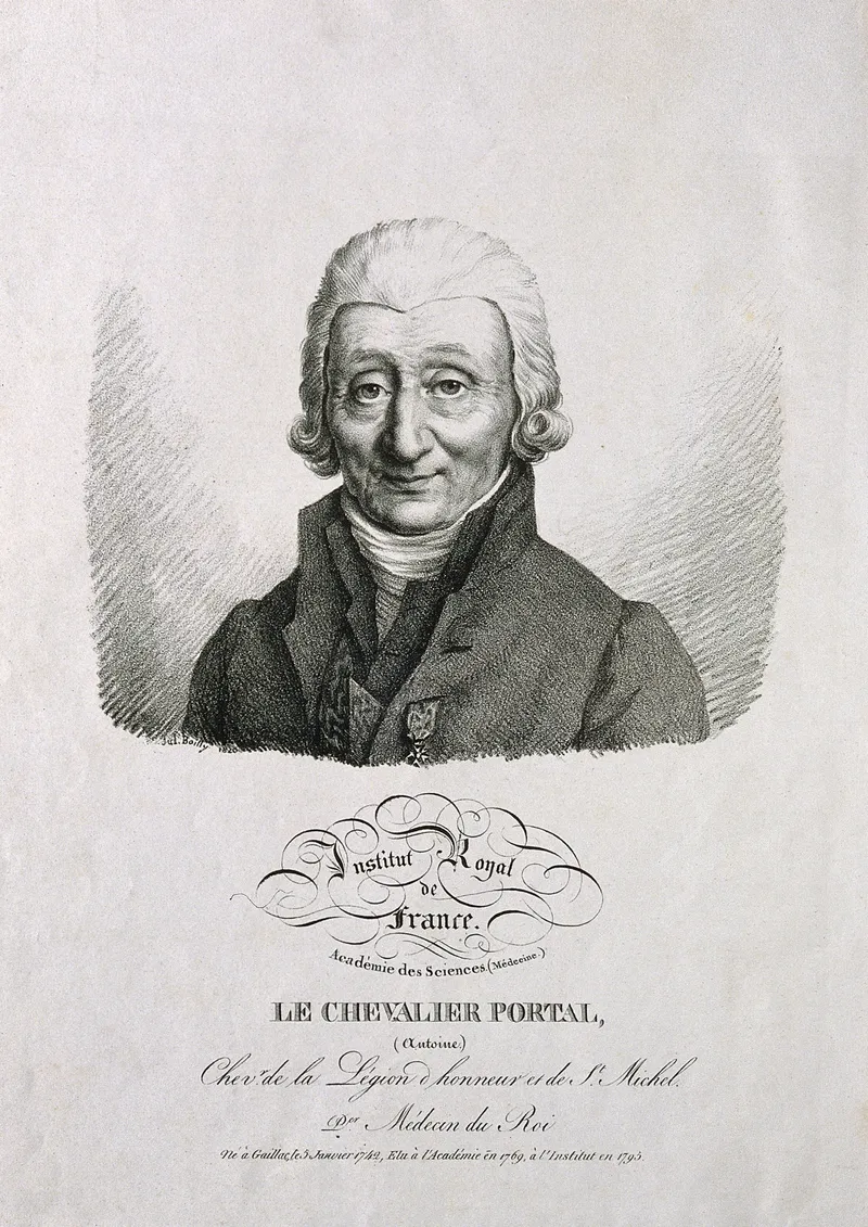 Antoine Portal