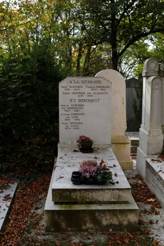 David Kutner