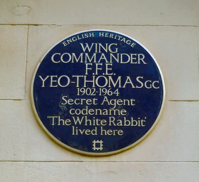 Forest Yeo-Thomas