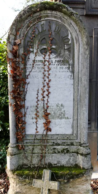 Jules de Joly