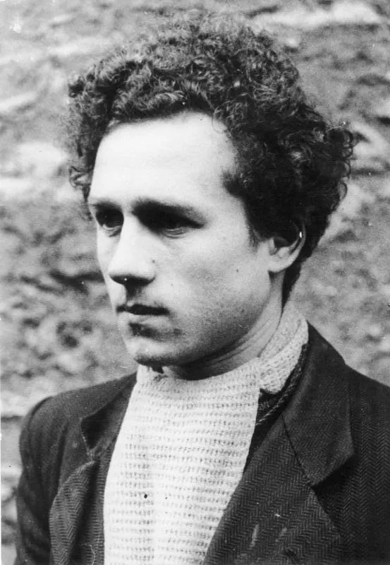 Robert Witchitz
