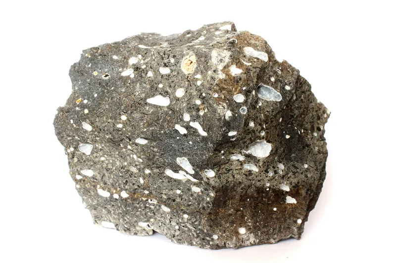 Roche