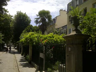 Épinettes