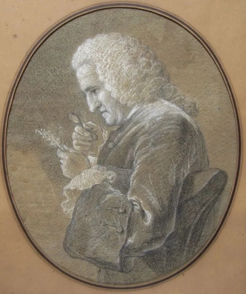 Bernard de Jussieu