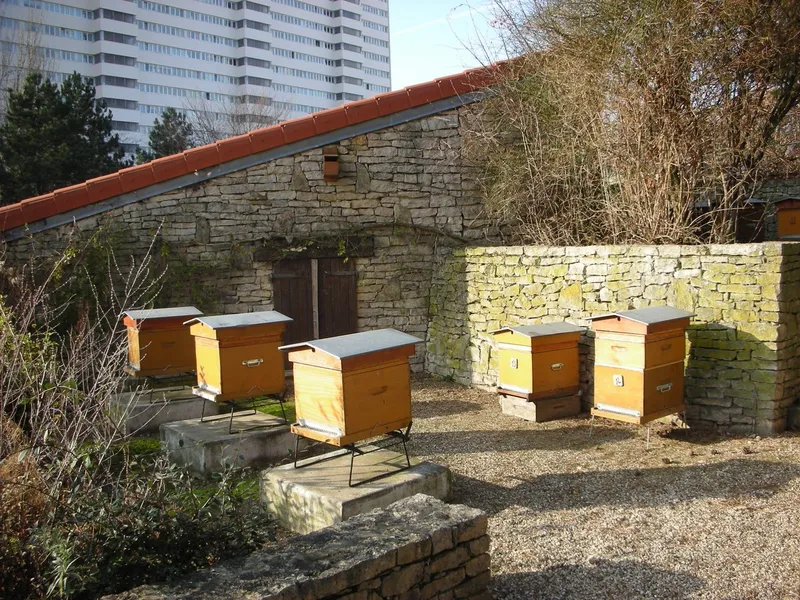 Parc Georges Brassens Rucher