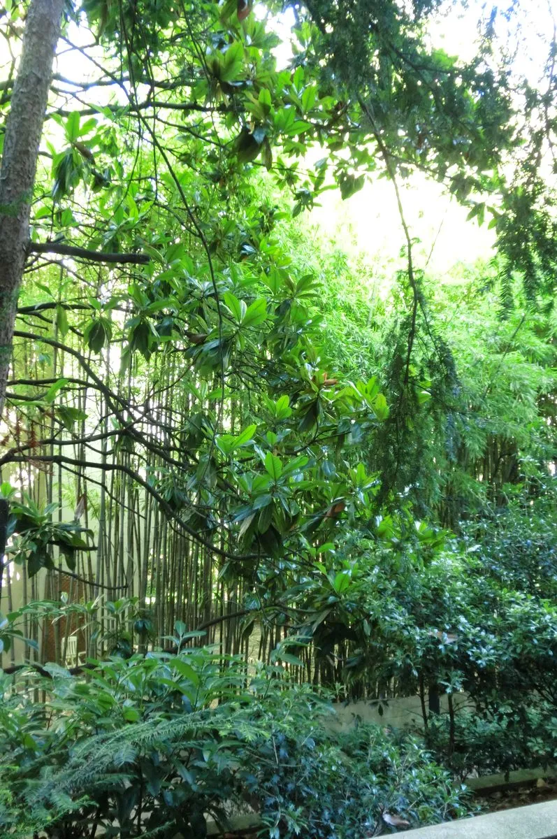 Jardin