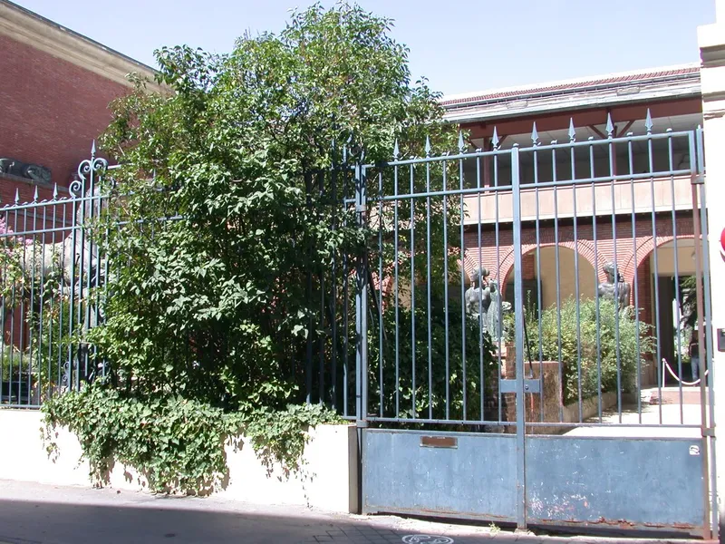 Musée Bourdelle