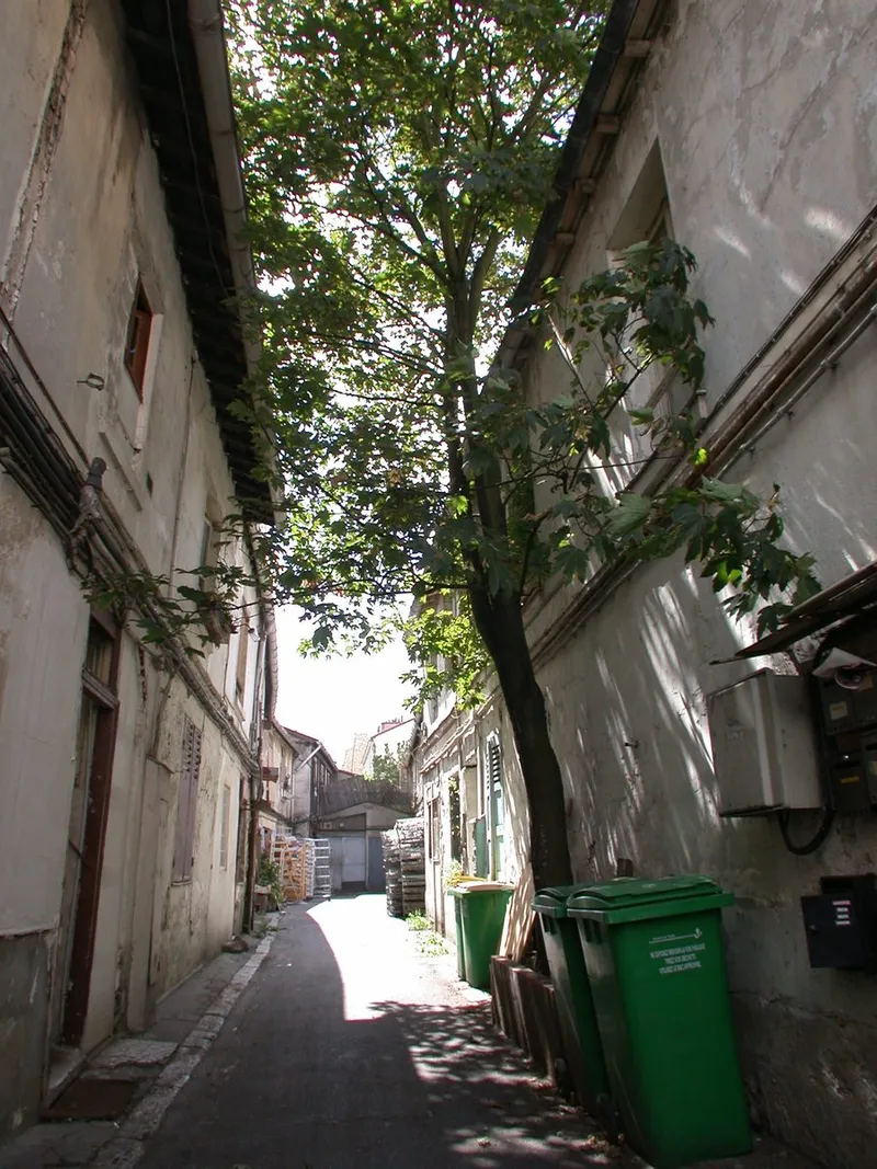 Cour