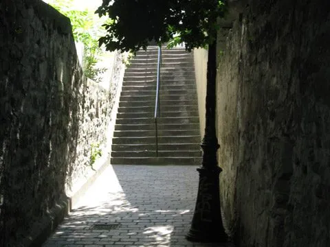 Vue générale